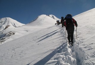 Besteigung des Dhampus Peak | Thapa Gipfel 6012m - 20 Tage