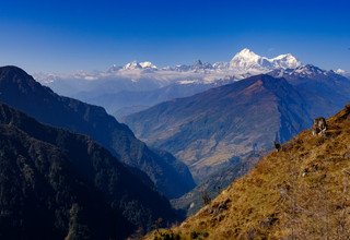 Lumba Sumba Pass Trek (Kanchenjunga-Makalu), 22 Days