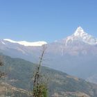Trek du lodge de luxe dans l'Annapurna, 10 Jours