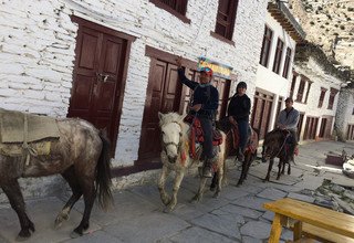 Randonnée à cheval vers l'Upper Mustang, 15 Jours