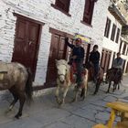 Horse Riding Trek to Upper Mustang, 15 Days March 2019
