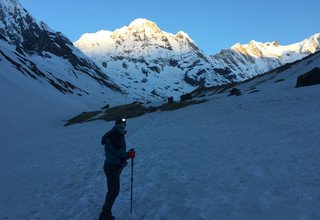 Trek du sanctuaire de l'Annapurna, 14 Jours