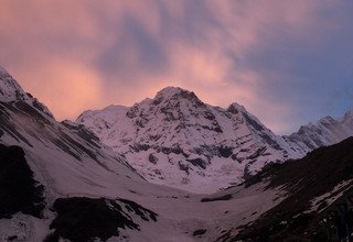 Trek du sanctuaire de l'Annapurna, 14 Jours