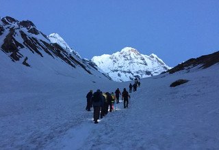 Trek du sanctuaire de l'Annapurna, 14 Jours