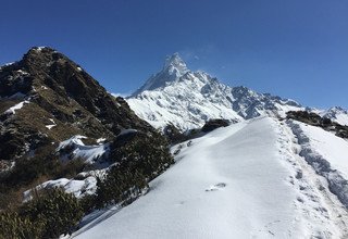 Mardi Himal Trek pour les familles, 10 Jours