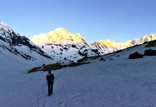 Trek court du camp de base de l'Annapurna, 10 Jours