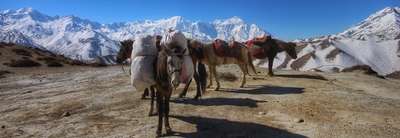 Horse Riding in Nepal