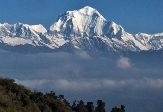 Trek Annapurna Poon Hill combiné à Mohare Danda, 9 Jours