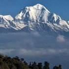 Annapurna Poon Hill Trek kombiniert mit Mohare Danda, 9 Tage