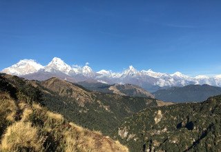 Trek Annapurna Poon Hill combiné à Mohare Danda, 9 Jours