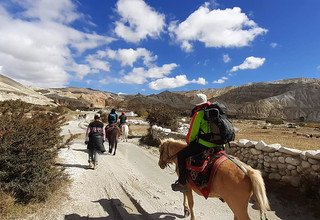 Randonnée à cheval vers l'Upper Mustang, 15 Jours