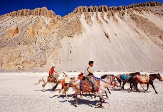 Randonnée à cheval vers l'Upper Mustang, 15 Jours