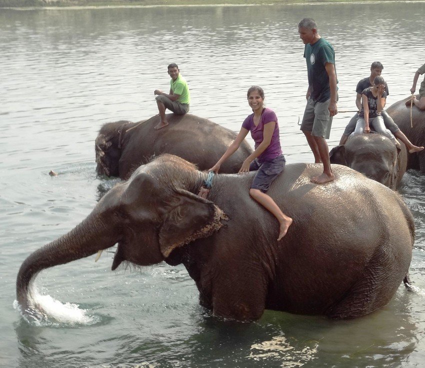 Elephant Bathing in Chitwan