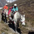 Randonnée à cheval dans la vallée du Langtang (avec ou sans enfants), 11 Jours