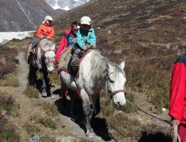 Horse Riding Trek to Langtang Valley (with children or without), 11 Days