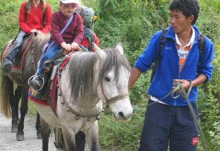 Randonnée à cheval dans la vallée du Langtang (avec ou sans enfants), 11 Jours