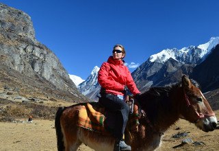 Randonnée à cheval dans la vallée du Langtang (avec ou sans enfants), 11 Jours