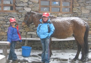 Randonnée à cheval dans la vallée du Langtang (avec ou sans enfants), 11 Jours