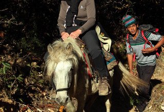 Horse Riding Trek to Langtang Valley (with children or without), 11 Days