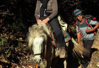 Randonnée à cheval dans la vallée du Langtang (avec ou sans enfants), 11 Jours