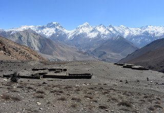 Oberer Dolpo Trek Überquerung von 5 Bergpässen, 30 Tage