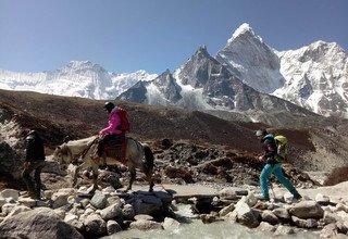 Randonnée à cheval au camp de base Everest, 15 Jours