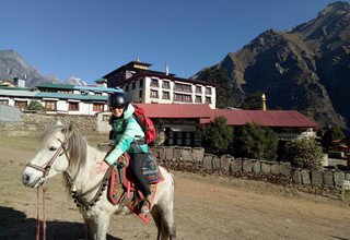 Randonnée à cheval au camp de base Everest, 15 Jours