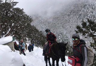 Randonnée à cheval au panorama de l'Everest (avec ou sans enfants), 10 Jours