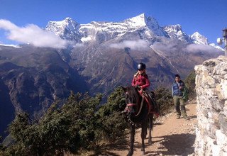 Randonnée à cheval au panorama de l'Everest (avec ou sans enfants), 10 Jours