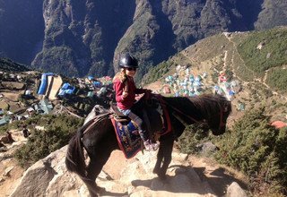 Randonnée à cheval au panorama de l'Everest (avec ou sans enfants), 10 Jours