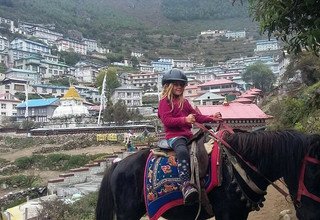 Randonnée à cheval au panorama de l'Everest (avec ou sans enfants), 10 Jours