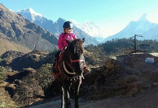 Randonnée à cheval au panorama de l'Everest (avec ou sans enfants), 10 Jours