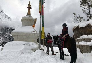 Randonnée à cheval au panorama de l'Everest (avec ou sans enfants), 10 Jours