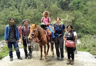 Randonnée à cheval au panorama de l'Annapurna (avec ou sans enfants), 10 Jours