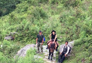 Randonnée à cheval au panorama de l'Annapurna (avec ou sans enfants), 10 Jours