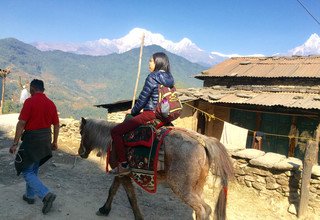 Pferdetrekking zum Annapurna Panorama (mit oder ohne Kinder), 10 Tage