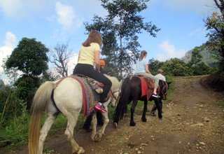 Randonnée à cheval au panorama de l'Annapurna (avec ou sans enfants), 10 Jours