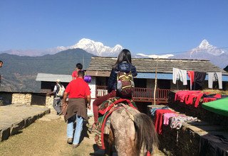 Pferdetrekking zum Annapurna Panorama (mit oder ohne Kinder), 10 Tage