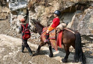 Randonnée à cheval au panorama de l'Annapurna (avec ou sans enfants), 10 Jours