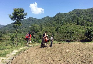 Randonnée à cheval au panorama de l'Annapurna (avec ou sans enfants), 10 Jours