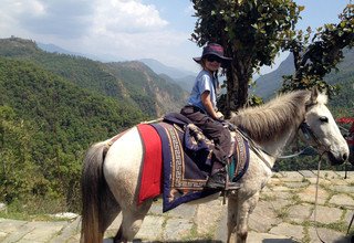 Randonnée à cheval au panorama de l'Annapurna (avec ou sans enfants), 10 Jours