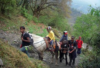 Pferdetrekking zum Annapurna Panorama (mit oder ohne Kinder), 10 Tage