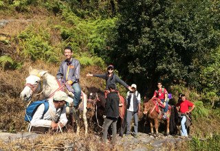 Randonnée à cheval au panorama de l'Annapurna (avec ou sans enfants), 10 Jours