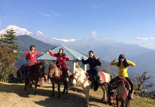 Randonnée à cheval au panorama de l'Annapurna (avec ou sans enfants), 10 Jours