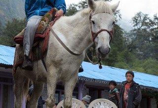 Randonnée à cheval au panorama de l'Annapurna (avec ou sans enfants), 10 Jours