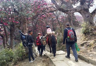 Randonnée à cheval au panorama de l'Annapurna (avec ou sans enfants), 10 Jours