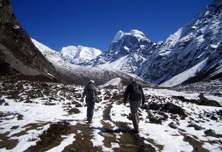 Trek de la vallée du Langtang, 11 Jours (itinéraire classique)