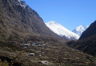 Randonnée à cheval dans la vallée du Langtang (avec ou sans enfants), 11 Jours