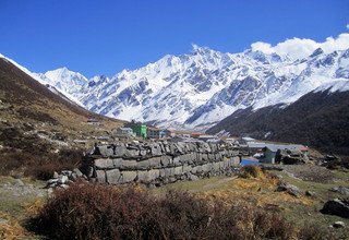 Langtang Tal Trek, 11 Tage (klassische Route)