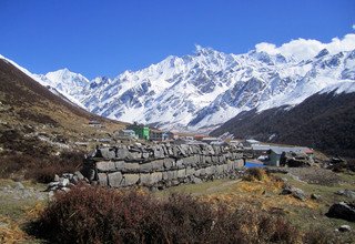 Trek de la vallée du Langtang, 11 Jours (itinéraire classique)